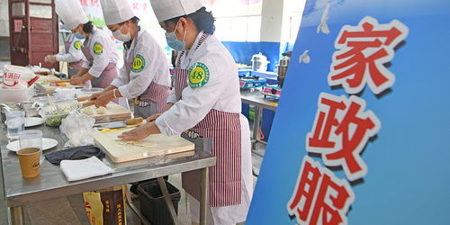 家政服務(wù)業(yè)亟待提質(zhì)擴(kuò)容 從“大而不優(yōu)”走向規(guī)范發(fā)展